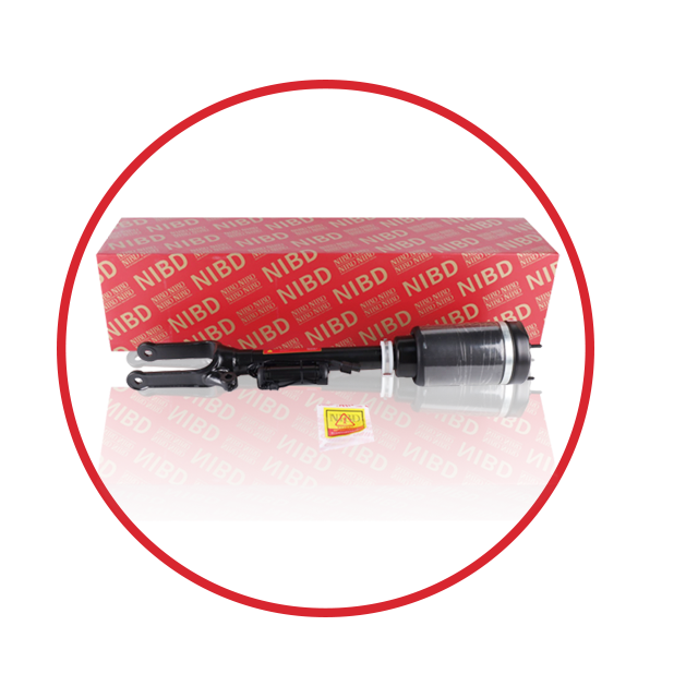 AIR SHOCK ABSORBER