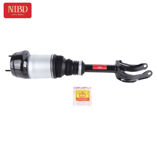 Shock Absorber A1663204966 For Mercedes W166