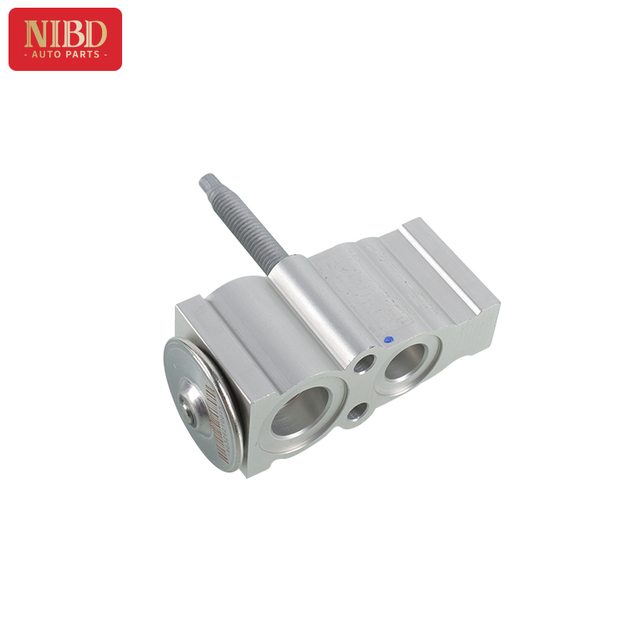 Expansion Valve 64116994989 For BMW G20 G28 G08 G02