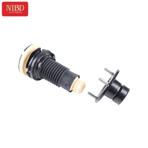 Shock absorber repairing kit（front） A1663200326 For Mercedes W166  W292