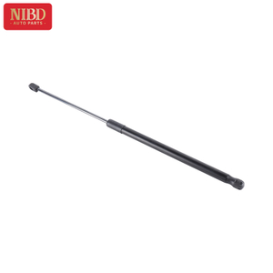 Gas Spring 51242990136 For BMW E84