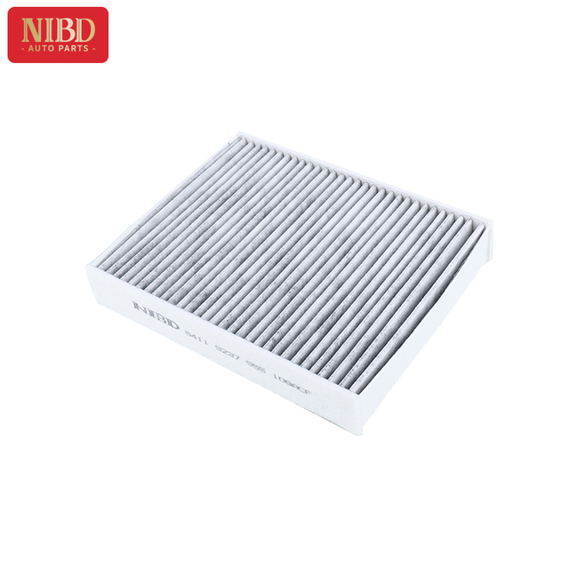 Cabin Air Filter 64119237555 For BMW F20 F21 F30 F35