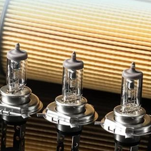 Oil Filter_313_313.jpg