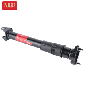 Shock Absorber A2513202131 For Mercedes Benz W251