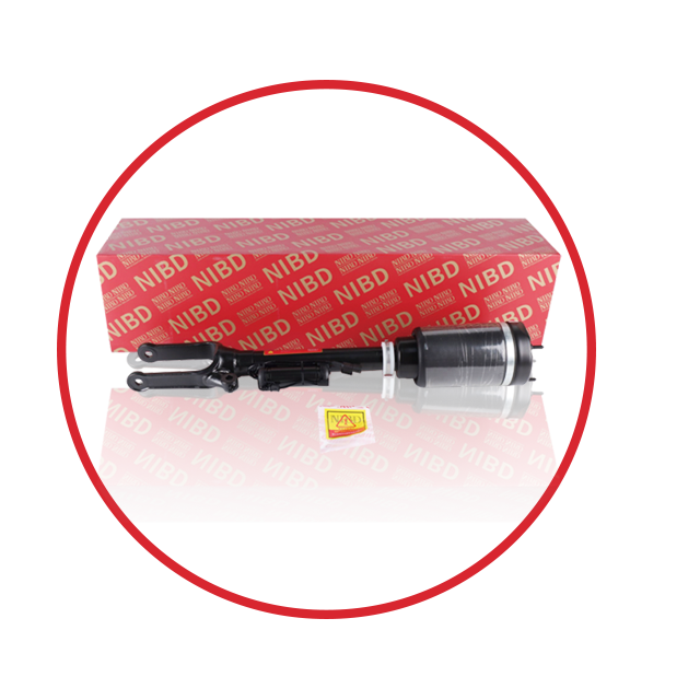 air shock absorber
