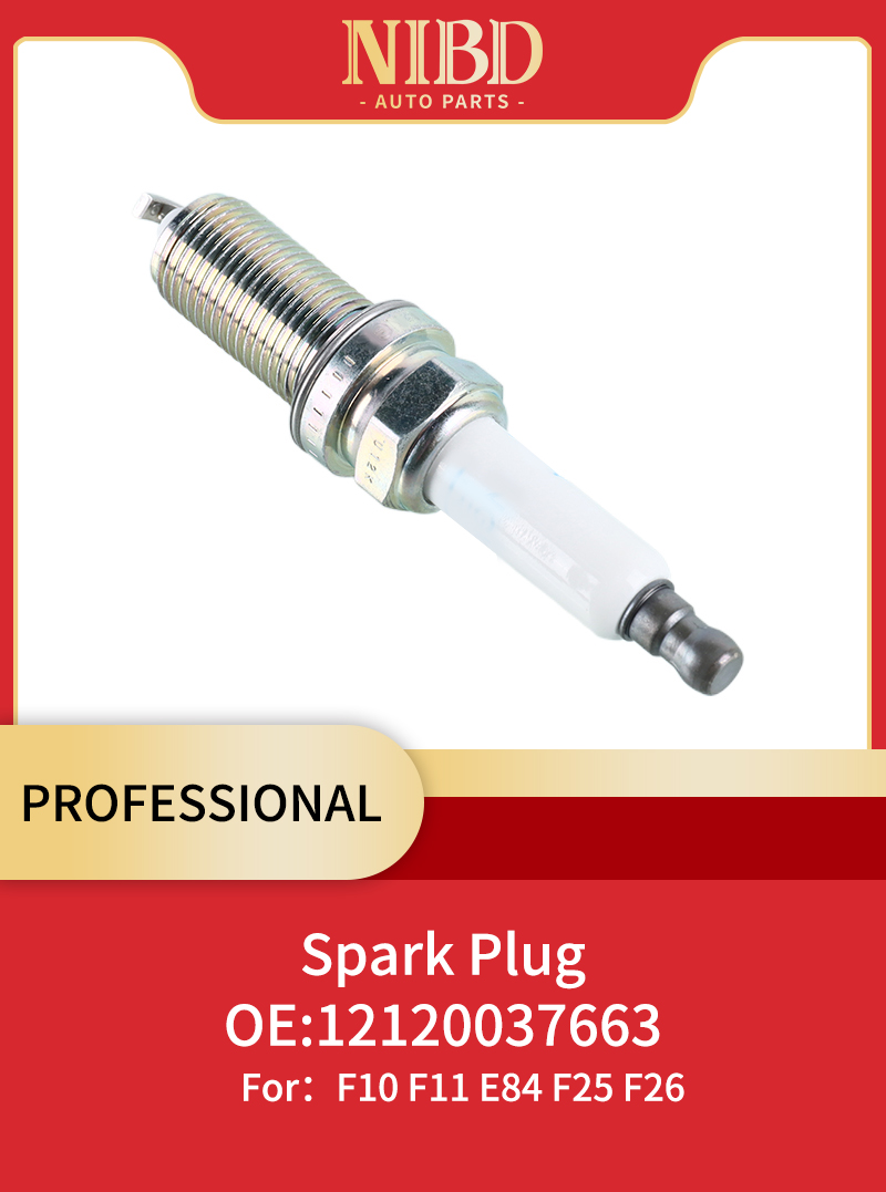 Spark Plug