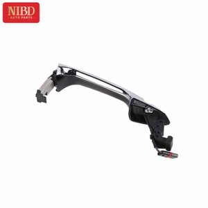 Exterior Door Handle A2217600970 For Mercedes W221