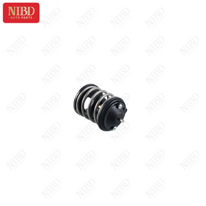 Thermostat 11517805192 For BMW E90 E88 E81 E87 Diesel