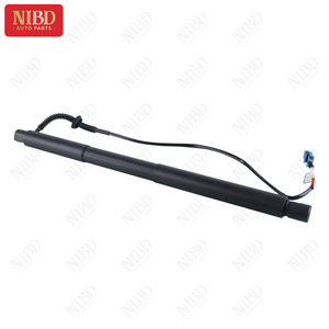 Gas Spring A1668900100 For Mercedes X166