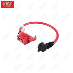 Battery Cable 61129217036 For BMW E82 F07 F10 F11 F18