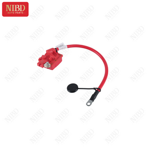 Battery Cable 61129217031 For BMW E88 E82 E90 E91 E92 E84