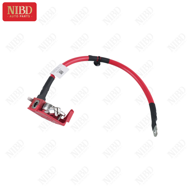 Battery Cable 61125A690C1 For BMW G20 G28 G21