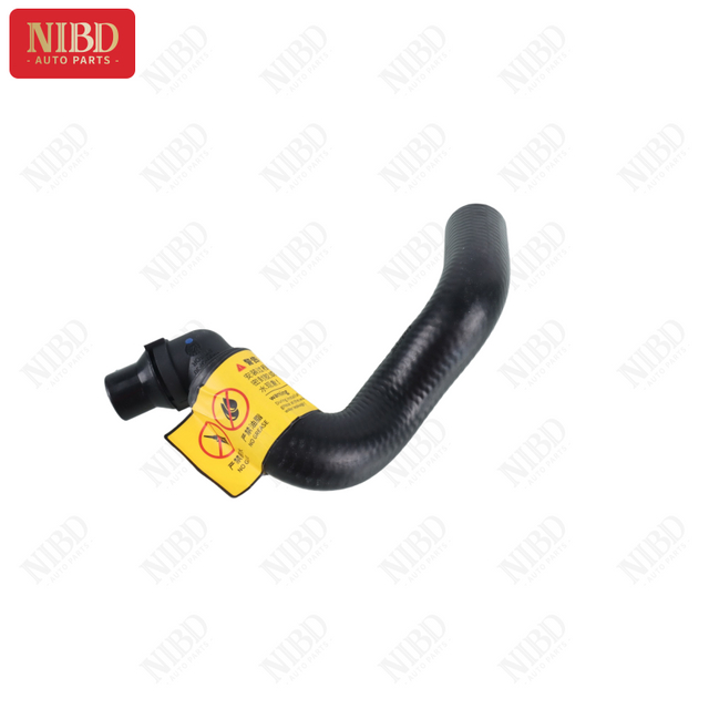 Coolant Hose A2218302096 For Mercedes W221