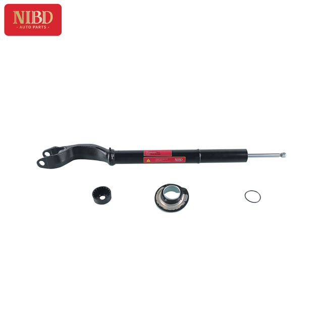 Shock Absorber A2533201101 For Mercedes X253